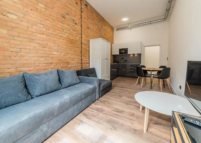 Old Town Bright & Dark 公寓 波兹南