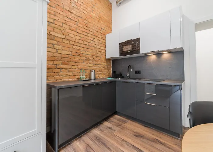 Old Town Bright & Dark 公寓 *