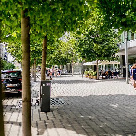 Old Town Bright & Dark Poznań